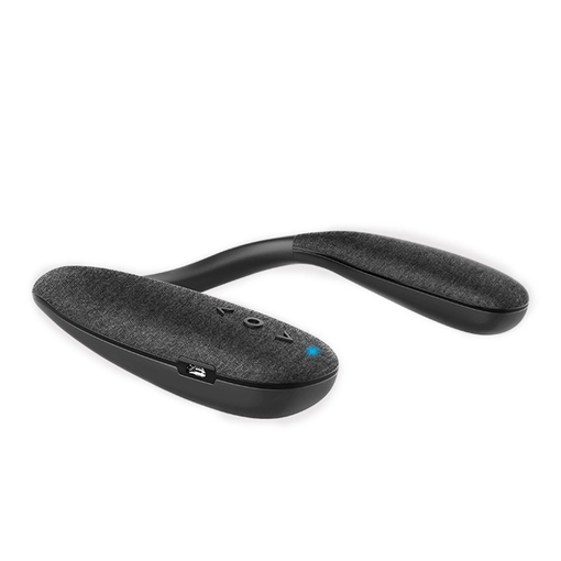 Portable Bluetooth Speaker NSP-0224