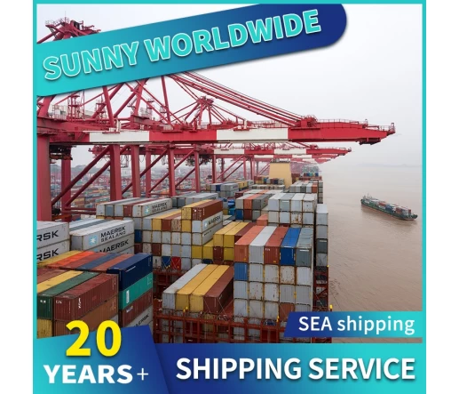 SWWLS Professional Door -to -Tür -Service in Shenzhen Sea Fracht von China nach Südafrika