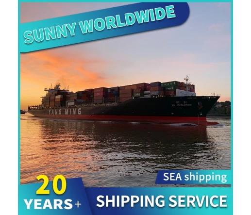 SWWLS Sea Shipping von Qingdao nach Großbritannien Frankreich DDP DDU Sandalen für Frauen und Damen Shipping Agent