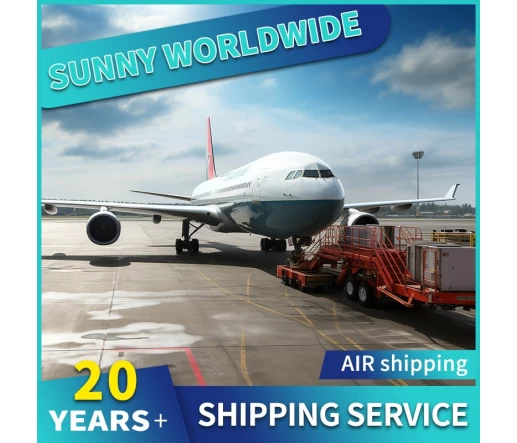 SWWLS China Logistics Company Air Cargo Shipping Frachtwächter in den Vereinigten Arabischen Emiraten Dubai mit Zollservice