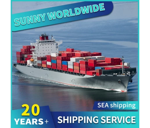 SWWLS International Best und Billig Air Frachtwächter Sea Agent zu USA DDU DDP