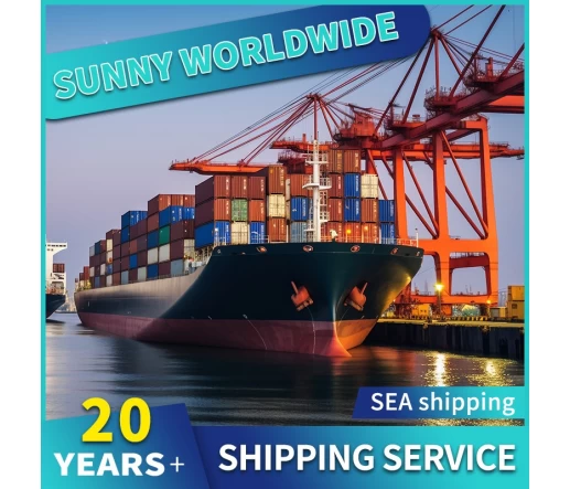 SWWLS Sea Frachtwaschkasse von Qingdao Shanghai nach Deutschland Frankreich Papierbeutel DDU