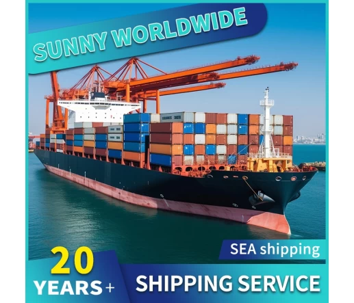 SWWLS Cargo Shipping Agent von China nach USA Kanada
