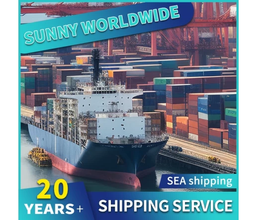 Swwls-Spediteur von China nach Polen, Tür-zu-Tür-Luftversand, Ddp-Ddu-Lager in Shenzhen