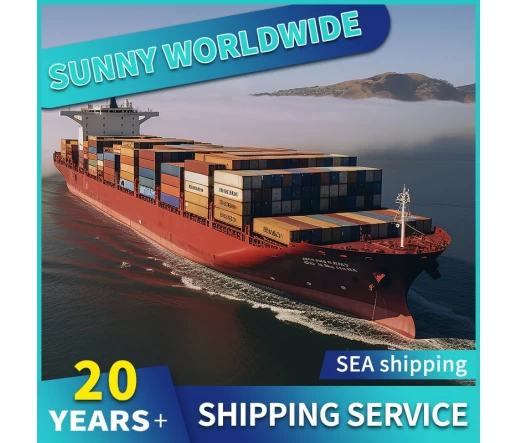 SWWLS -Frachtwächter von China nach Spanien Tür zu Tür Luftversand DDU Warehouse in Shenzhen