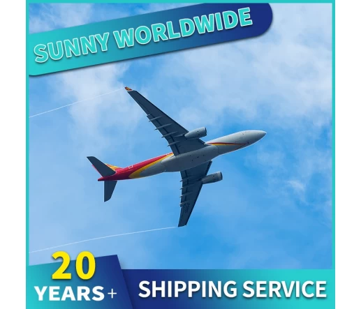 Swwls Freight Forwarder, professioneller Versandagent, gute Dienstleistungen von China nach Kanada per Express-Luft