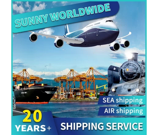 Swwls Tür-zu-Tür-Luftfrachtspediteur von China nach Niederlande, Spediteur, Containerversand, Logistikdienstleistungen