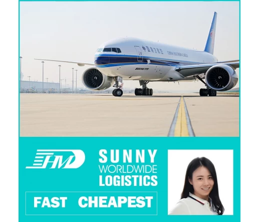 SWWLS-Spediteur von China nach Frankreich, Tür-zu-Tür-Service, Luftversand, DDP, DDU-Lager in Shenzhen