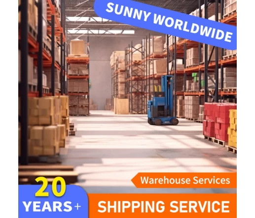 Cheap Air Cargo Shipping Freight Forwarder Warehouse Service Shenzhen International Air and Sea Transport To USA