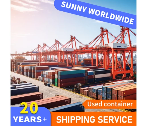 Sdoganamento FCL negli Emirati Arabi Uniti senza sforzo: spedizione DDP a Dubai e Sharjah senza uno sponsor locale