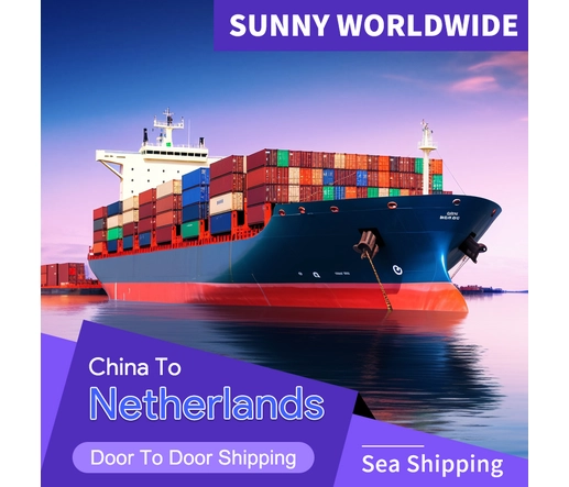 CIF 荷兰运输：经济高效的欧洲货运终极指南