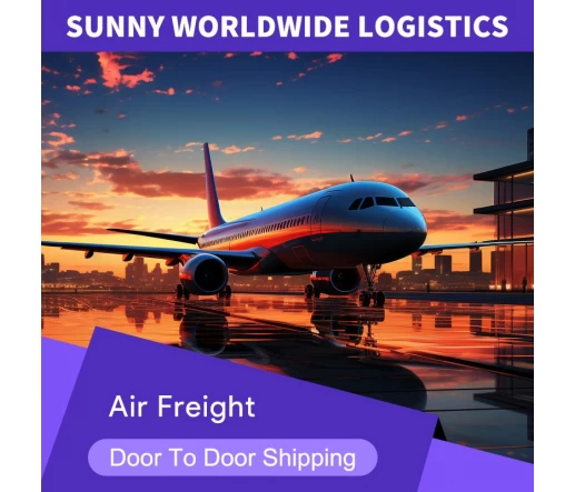 Professional transport service door to door delivery shipping to USA