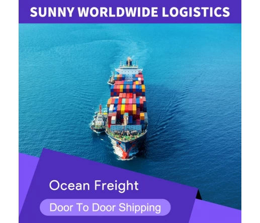 SWWLS International Shipping Cheapest Ocean Shipping International Freight Forwarder Sea Freight To Poland