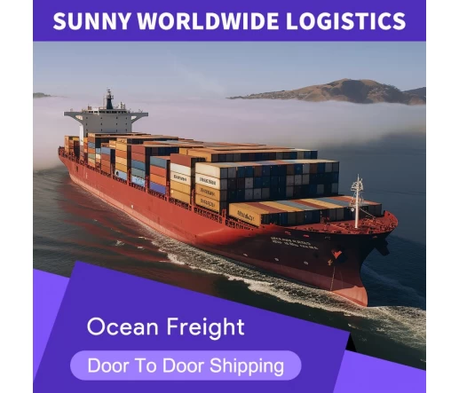 Swwls DDP sea freight shipping for sale from China to Australia sea shipping agent