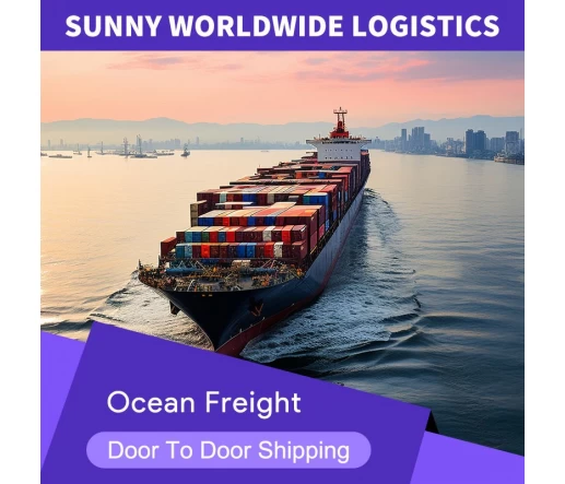 Best Sea Freight Forwarder in China