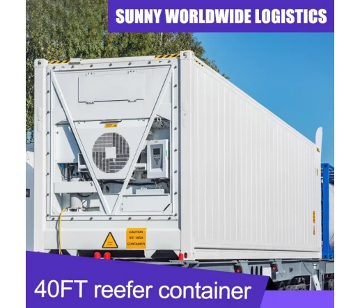 40ft Cool Room Container