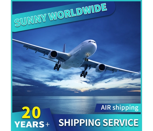 Air freight door to door logistics from Shanghai to Shenzhen DDP