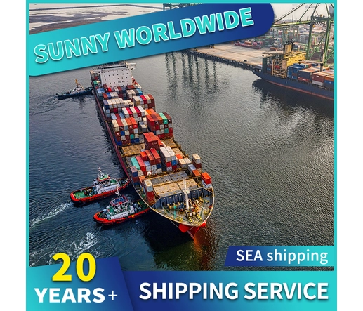 Swwls  Reliable Ocean Freight Forwarder  electronic products Sea Shipping From Guangzhou China to Singapore DDP