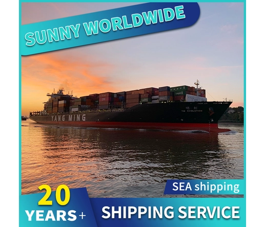 SWWLS Sea Shipping von Qingdao nach Großbritannien Frankreich DDP DDU Sandalen für Frauen und Damen Shipping Agent