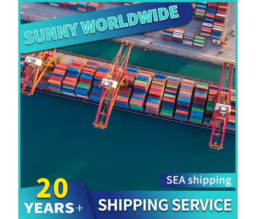 Swwls门到门海运中国到巴西DDU 20GP 40GP整箱集装箱货物运输服务