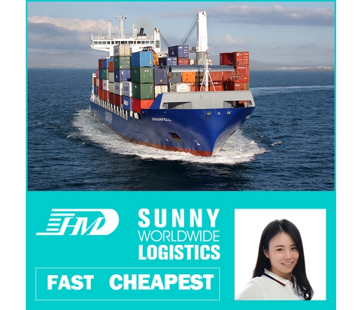 Swwls Local freight forwarder from shenzhen to Germany sea freight ocean cargo freight rates