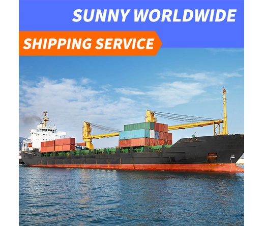 Swwls海运货运代理20GP 40GP门到门中国到德国DDU集装箱海运物流服务