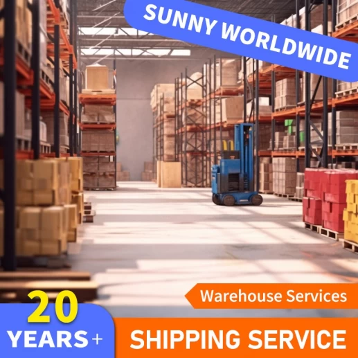 Cheap Air Cargo Shipping Freight Forwarder Warehouse Service Shenzhen International Air and Sea Transport To USA