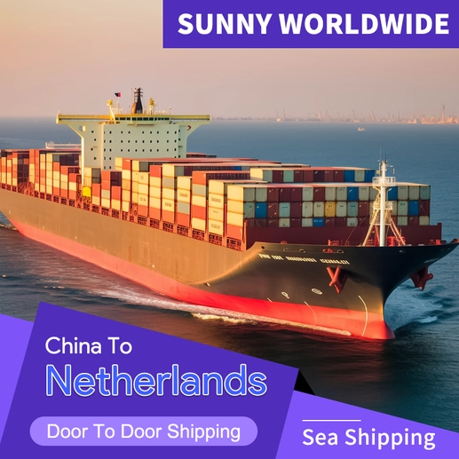 Sunny Worldwide Logistics - DDP per i Paesi Bassi Profilo del prodotto logistico speciale