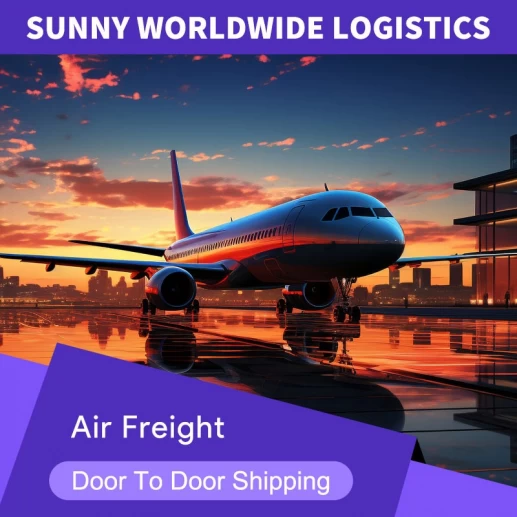 Professional transport service door to door delivery shipping to USA