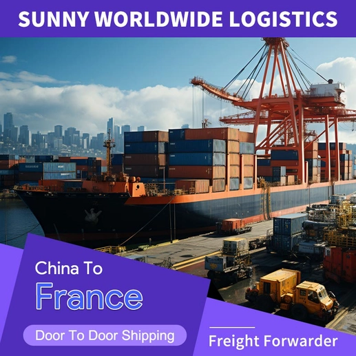 China to France DDP Dedicated Line Service