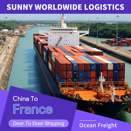 28 Years of Excellence: Your Trusted Partner for CIF France Shipments