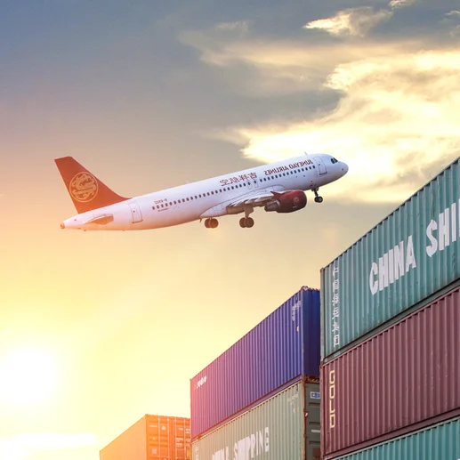 Professionelle Luftfrachtdienste für frische Kühlketten