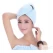 China Magic Hair Fast Drying Towel manufacturer