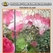 中国 花纹玻璃3mm 工厂批发 制造商