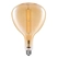 Chine Giant LED Filament ampoules fabricant Chine fabricant