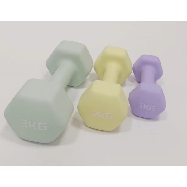 China Neoprene Coated Dumbbells Colorful Women's Neoprene Hex Dumbbell manufacturer