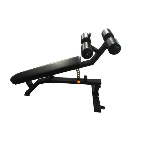 China Adjustable Bench Sit Up Bench Foldable Weight Bench Training manufacturer