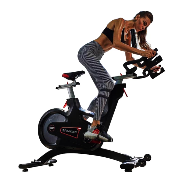 China Indoor Cycle Exercise Spinning Bike Body Fit Exercise Bike manufacturer