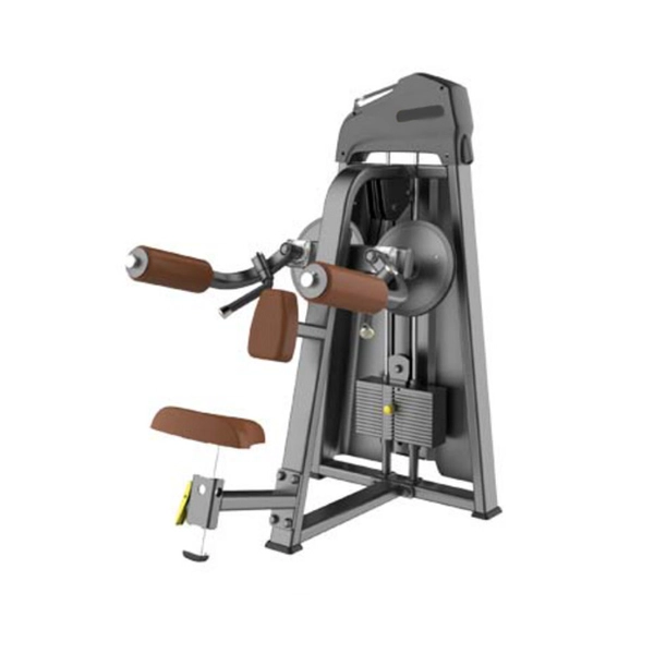 China Equipamento de ginástica de fábrica na China, equipamento de musculação para levantamento lateral fabricante