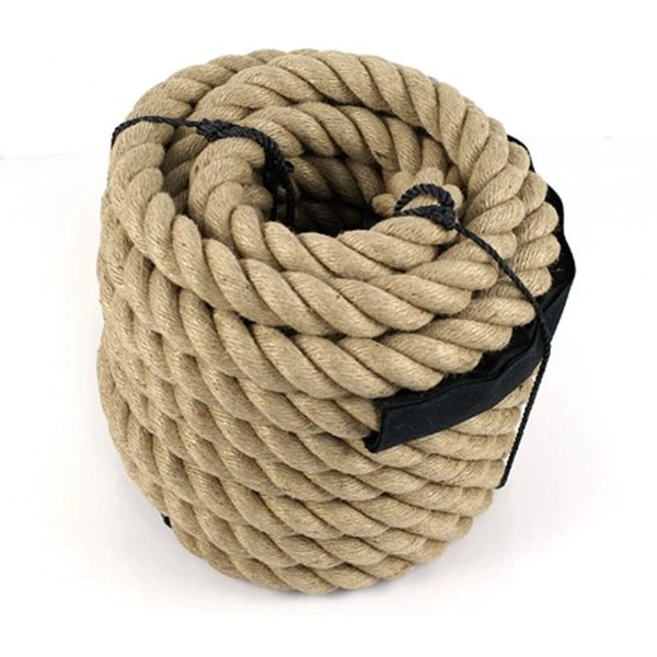 China China Supplier Climbing Rope For Fitness Training manufacturer
