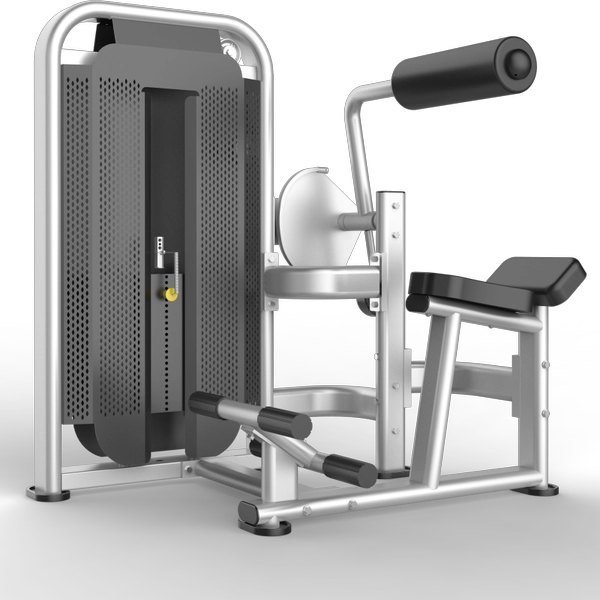 China Equipamento de Extensão de Treinamento de Ginásio fabricante
