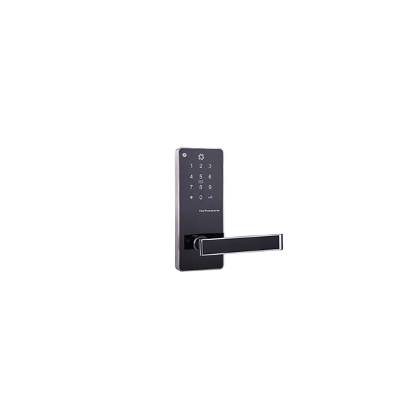 China Electronic smart bluetooth keypad door lock with APP DH8822A manufacturer