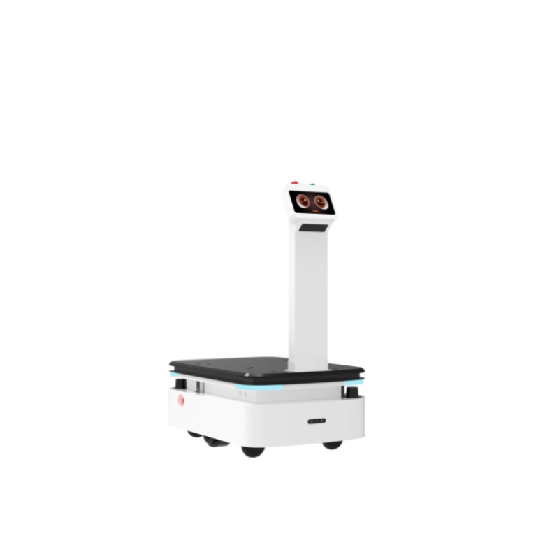 China Big Dog & Giraffe Pro Autonomous Mobile Robot | 100KG SLAM AMR Transport Robot manufacturer