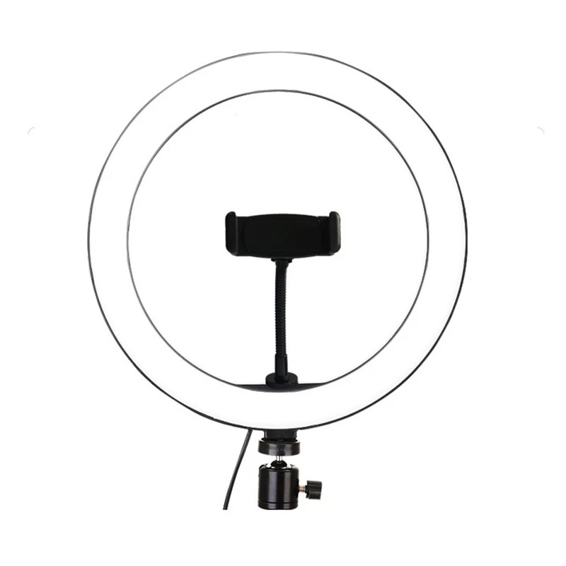 China Hot selling fill light with metal base for video recording makeup live stage ring light manufacturer