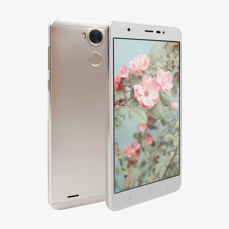 China OEM/ODM Smartphone 5.5