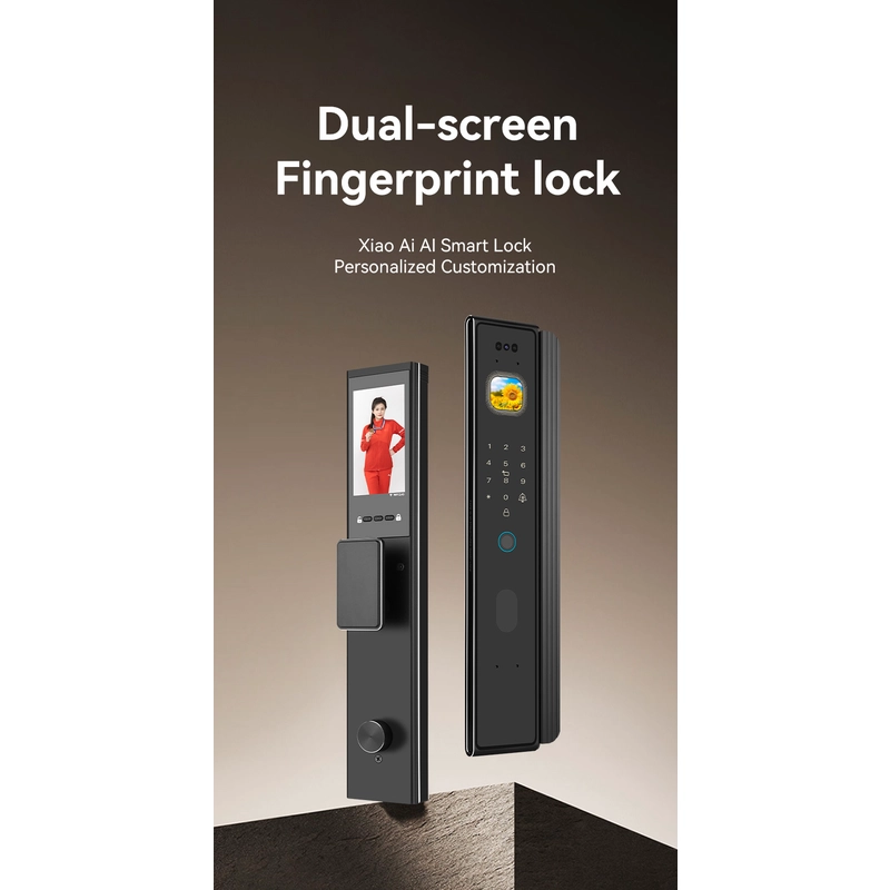 China Smart Lock BSI26S manufacturer