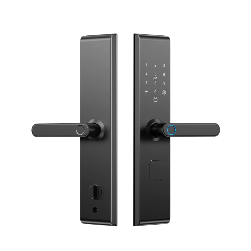 Cina Smart Lock BSI26S - COPY - p6fldp produttore