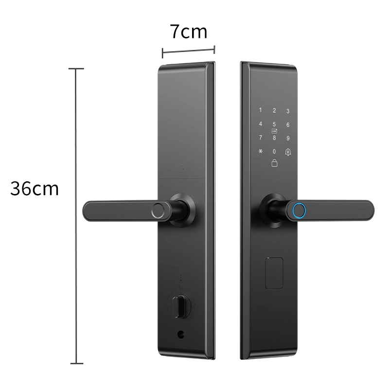 Cina Smart Lock BSI26S - COPY - p6fldp produttore