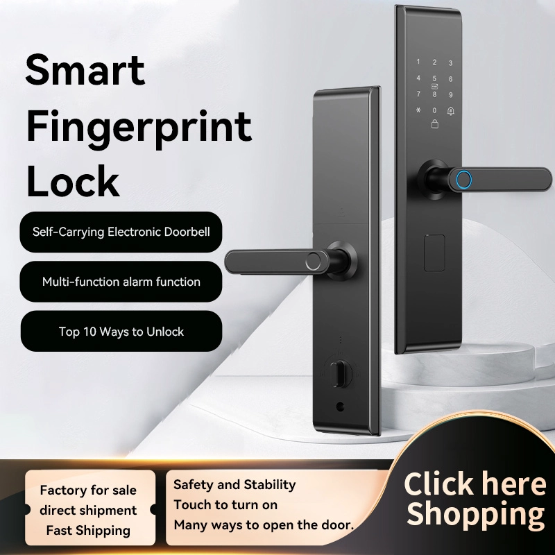 Cina Smart Lock BSI26S - COPY - p6fldp produttore