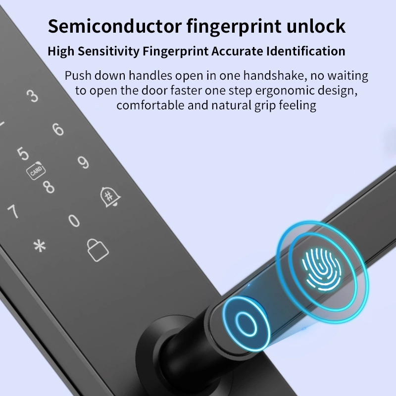 Cina Smart Lock BSI26S - COPY - p6fldp produttore